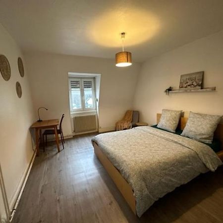 Beau F3 - Proche Gare Apartment Мюлуз Екстериор снимка