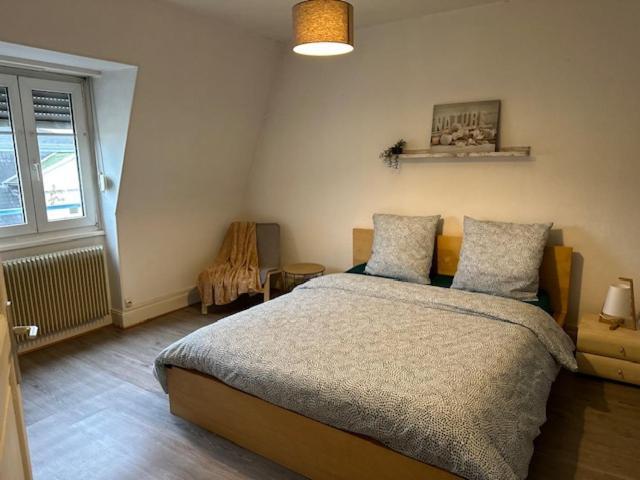 Beau F3 - Proche Gare Apartment Мюлуз Екстериор снимка